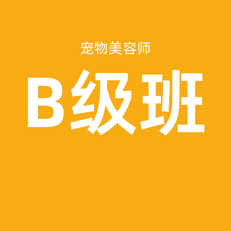宠物美容师B级班（每月一班）